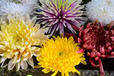 くろ谷 金戒光明寺の手水舎