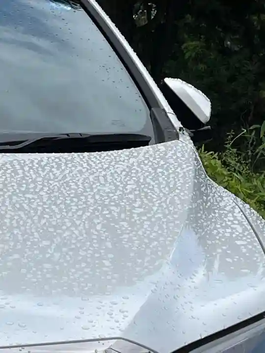 龍光寺(大阪府)