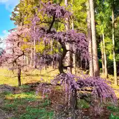 井伊谷宮(静岡県)