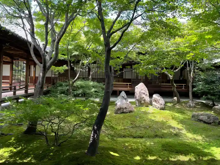 建仁寺(建仁禅寺)(京都府)