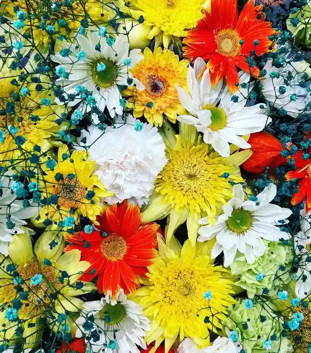 瑞玄寺の手水舎