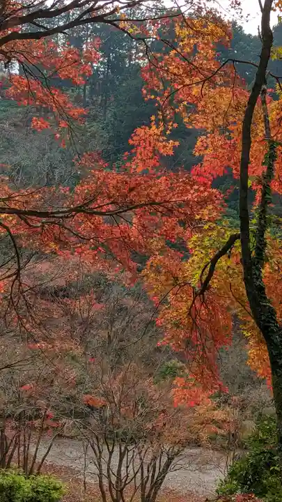 三室戸寺(京都府)