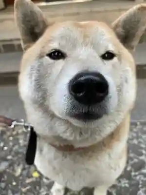 笠䅣稲荷神社(神奈川県)