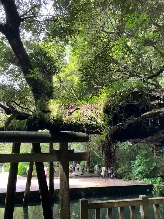 鹿島神宮(茨城県)