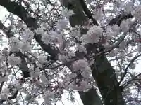 北山神社(福岡県)