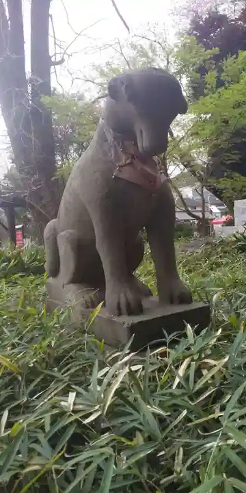 瀧泉寺(目黒不動尊)の狛犬