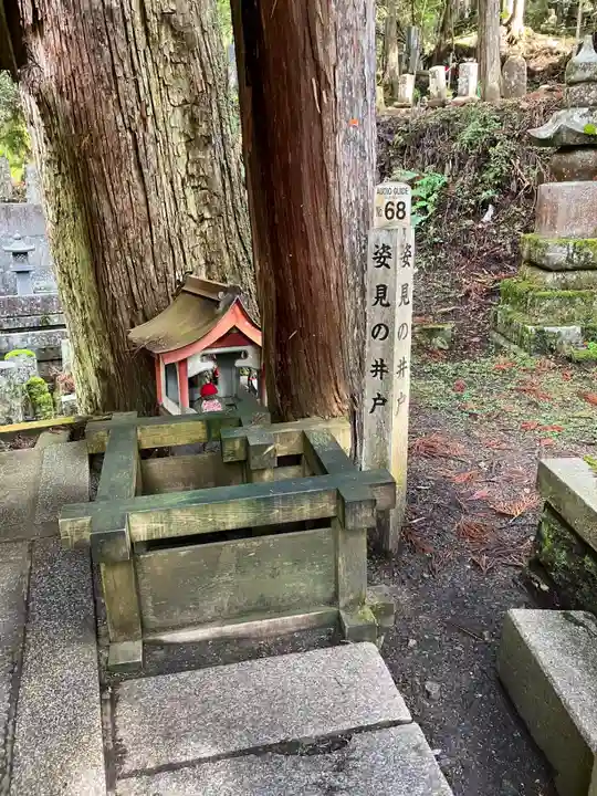高野山金剛峯寺奥の院(和歌山県)
