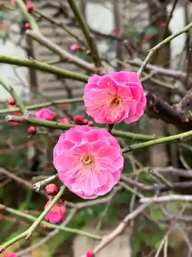 三宮神社(兵庫県)