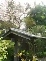 大巧寺(神奈川県)