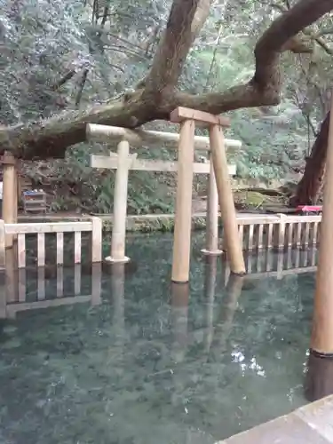 鹿島神宮の鳥居