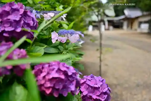 鎌数伊勢大神宮(千葉県)