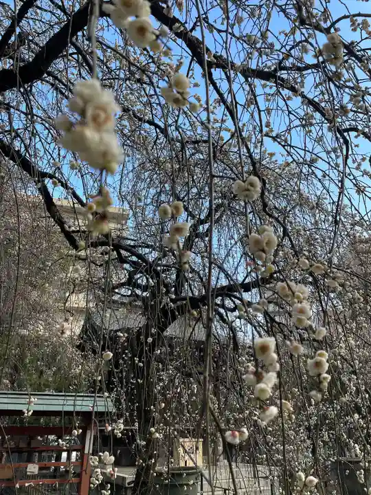 川口神社(埼玉県)