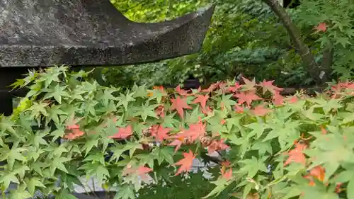 勝林寺(京都府)