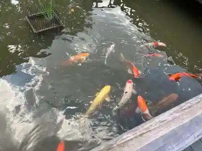 東郷神社(東京都)