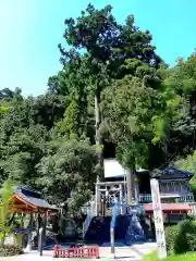 諏訪神社の建物その他