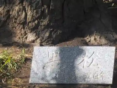 九品寺のその他建物