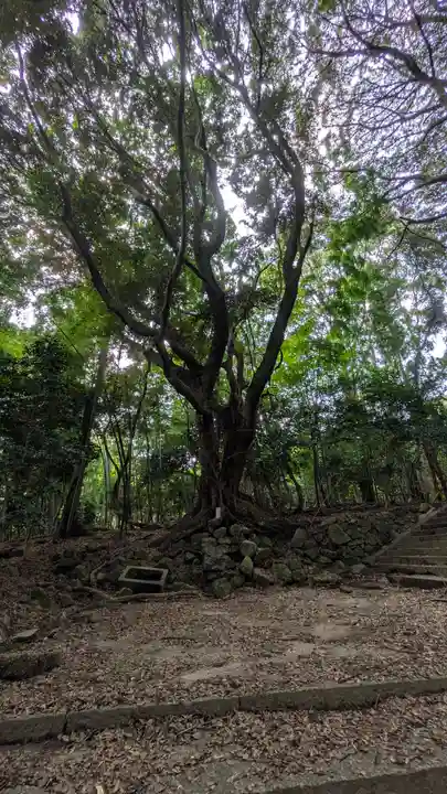 新羅善神堂(三井寺園城寺飛地境内・北院鎮守社)(滋賀県)