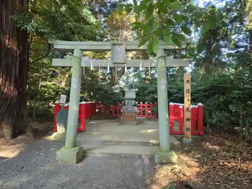 麻賀多神社(千葉県)