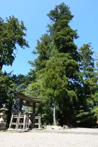 春日神社の自然