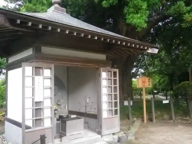安養院 (田代寺)(神奈川県)