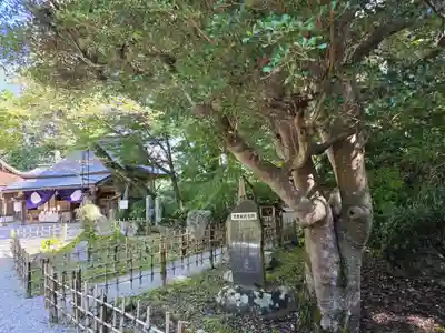 𠮷水神社（吉水神社）(奈良県)