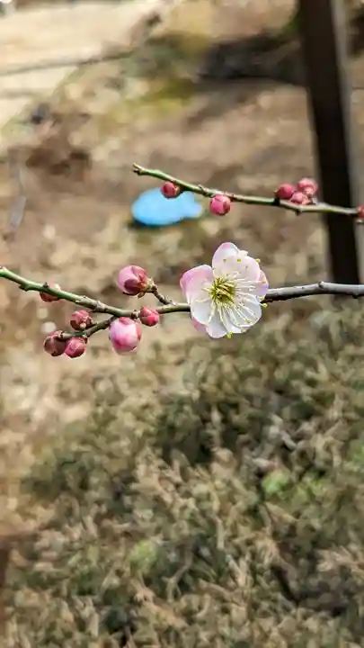 法輪寺(東京都)