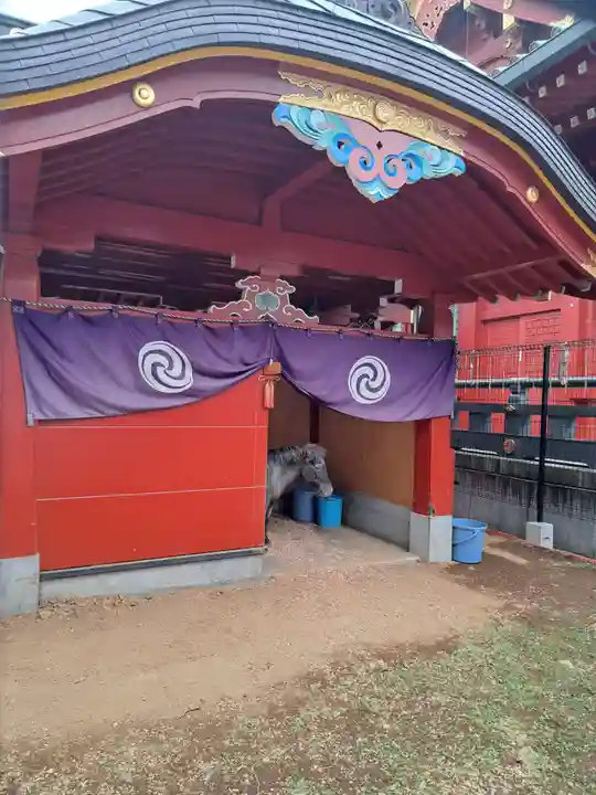 神田神社(神田明神)の動物