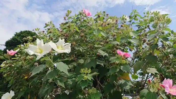 稲荷神社の自然