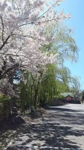 住吉神社の自然