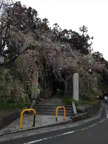 真福寺の山門