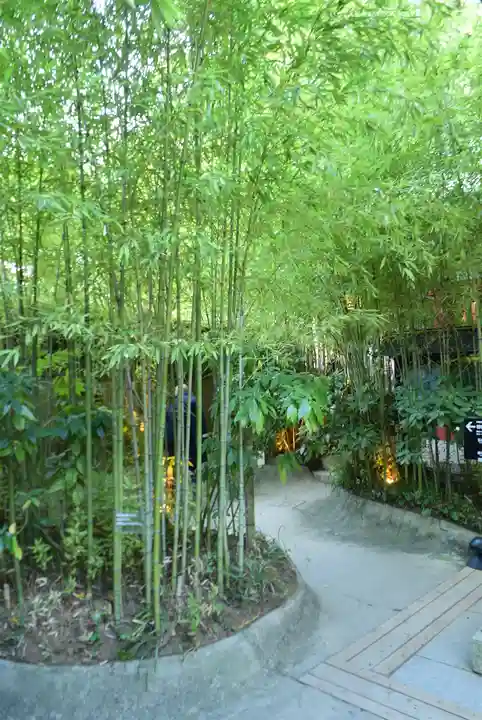 來宮神社(静岡県)