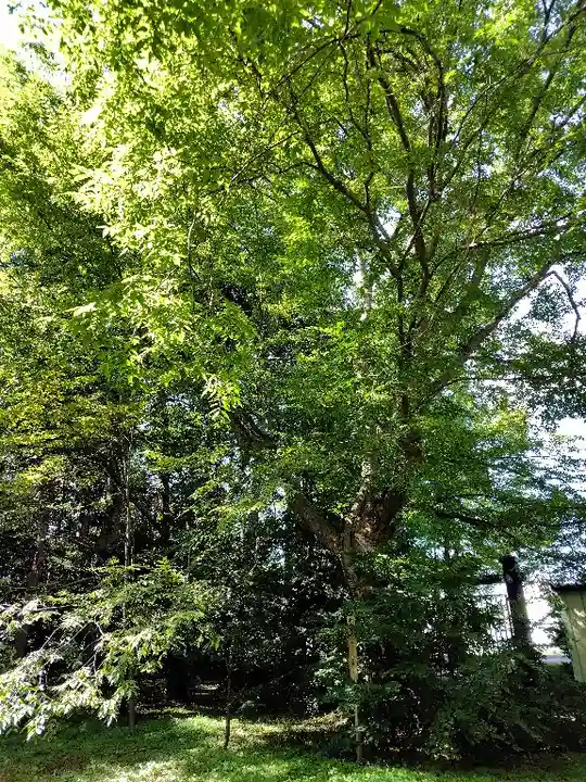 比布神社(北海道)