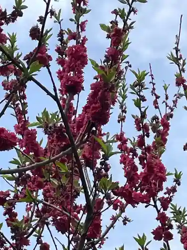 歌泉堂（春日大社神苑萬葉植物園内鎮座）(奈良県)