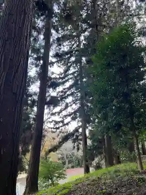 大宮温泉神社(栃木県)