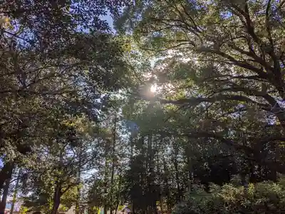 伊多波刀神社の自然