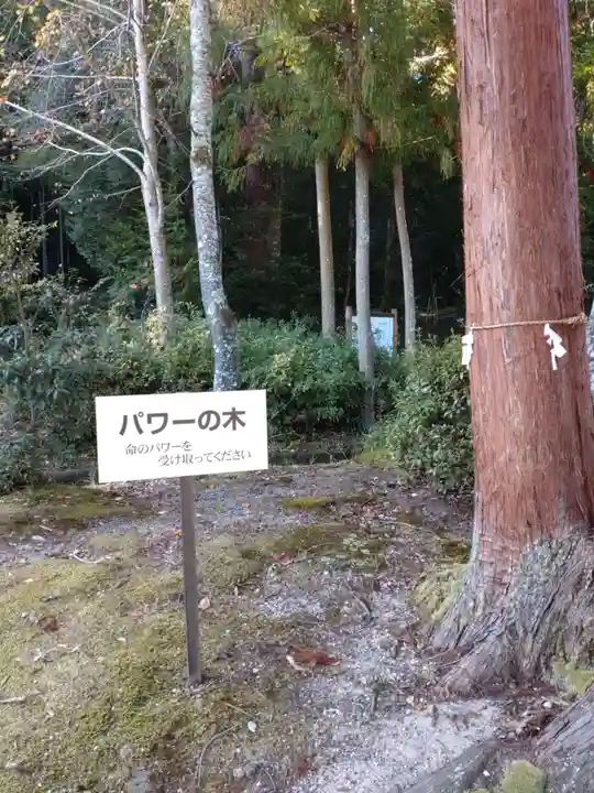 小野神社の自然