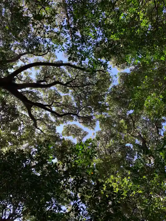 浅間神社の自然