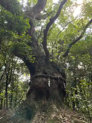 熱田神宮(愛知県)