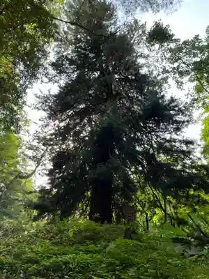 瑞鳳殿(宮城県)