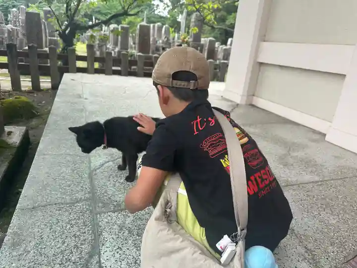 南州神社(鹿児島県)