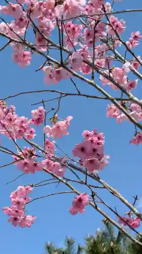 宇治神社の自然