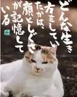 専念寺(大阪府)