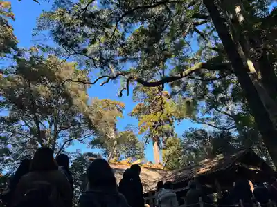 伊勢神宮外宮（豊受大神宮）(三重県)