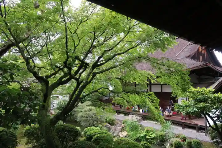 三十三間堂本坊 妙法院門跡(京都府)