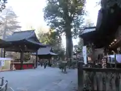 北口本宮冨士浅間神社の建物その他