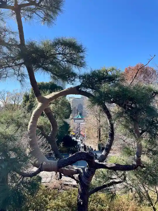 清水観音堂(東京都)