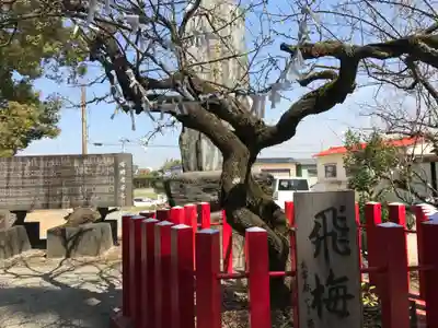 駛馬天満宮(福岡県)