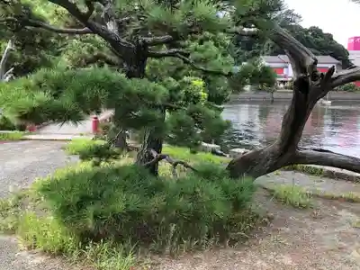 琵琶島神社(神奈川県)
