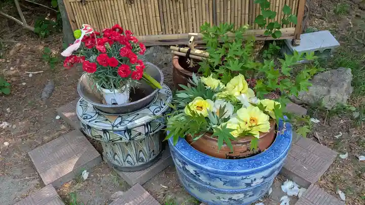 多賀神社の手水舎