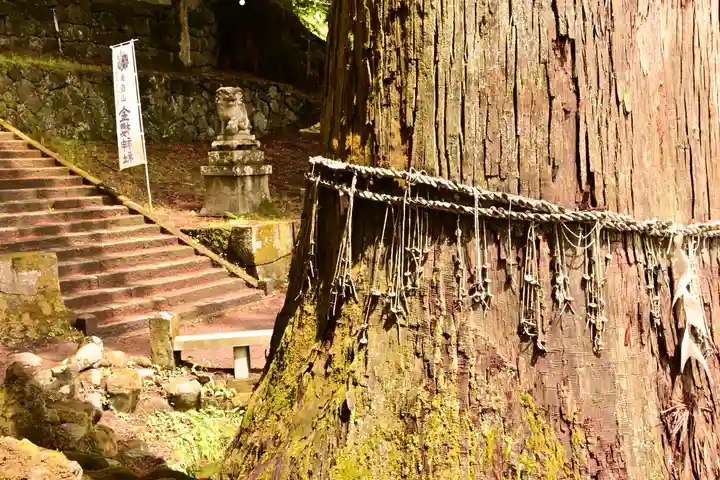 金櫻神社(山梨県)